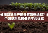 长期网贷黑户拢共有哪些选择？8个网贷利息最低的平台详解