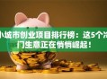 小城市创业项目排行榜：这5个冷门生意正在悄悄崛起！