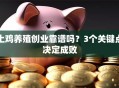 土鸡养殖创业靠谱吗？3个关键点决定成败