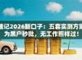 速记2026新口子：五套实测方案为黑户秒批，无工作照样过！