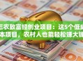 三农致富经创业项目：这5个低成本项目，农村人也能轻松赚大钱！