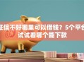 征信不好哪里可以借钱？5个平台试试看哪个能下款