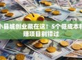 小县城创业藏在这！5个低成本稳赚项目别错过