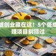小县城创业藏在这！5个低成本稳赚项目别错过