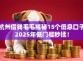 杭州借钱毛毛揭秘15个低息口子2025年低门槛秒批！