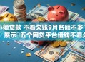 小额贷款 不看欠账9月名额不多了！展示​五个网贷平台借钱不看欠账记录