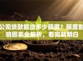公司贷款能贷多少额度？额度影响因素全解析，看完就明白