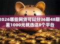 2026哪些网贷可以分36期48期，差1000元就选这8个平台