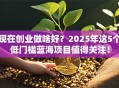 现在创业做啥好？2025年这5个低门槛蓝海项目值得关注！