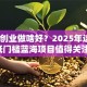 现在创业做啥好？2025年这5个低门槛蓝海项目值得关注！