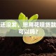 工资还没发，想用花呗贷款应急可以吗？
