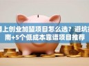 网上创业加盟项目怎么选？避坑指南+5个低成本靠谱项目推荐