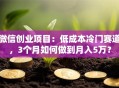 微信创业项目：低成本冷门赛道，3个月如何做到月入5万？