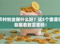 农村创业做什么好？这5个靠谱项目藏着致富密码！
