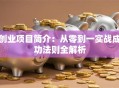 创业项目简介：从零到一实战成功法则全解析