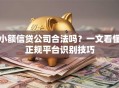 小额信贷公司合法吗？一文看懂正规平台识别技巧