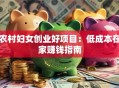 农村妇女创业好项目：低成本在家赚钱指南