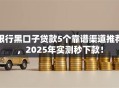 银行黑口子贷款5个靠谱渠道推荐，2025年实测秒下款！
