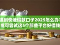 遇到快速借款口子2025怎么办？或可尝试这5个那些平台好借钱