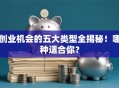 创业机会的五大类型全揭秘！哪种适合你？