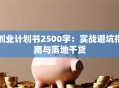 创业计划书2500字：实战避坑指南与落地干货