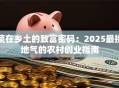 藏在乡土的致富密码：2025最接地气的农村创业指南
