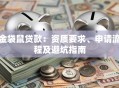 金袋鼠贷款：资质要求、申请流程及避坑指南
