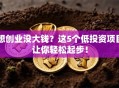 想创业没大钱？这5个低投资项目让你轻松起步！
