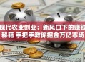 现代农业创业：新风口下的赚钱秘籍 手把手教你掘金万亿市场