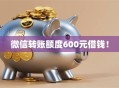 微信转账额度600元借钱！