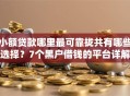 小额贷款哪里最可靠拢共有哪些选择？7个黑户借钱的平台详解