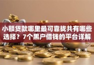 小额贷款哪里最可靠拢共有哪些选择？7个黑户借钱的平台详解