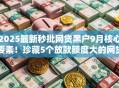 2025最新秒批网贷黑户9月核心要素！珍藏5个放款额度大的网贷