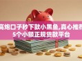 高炮口子秒下款小黑鱼,真心推荐5个小额正规贷款平台