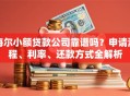 海尔小额贷款公司靠谱吗？申请流程、利率、还款方式全解析