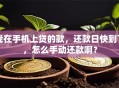 我在手机上贷的款，还款日快到了，怎么手动还款啊？
