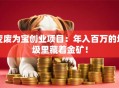 变废为宝创业项目：年入百万的垃圾里藏着金矿！