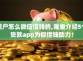 黑户怎么微信借钱的,隆重介绍5个贷款app为你借钱助力！