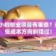 投入小的创业项目有哪些？这5个低成本方向别错过！