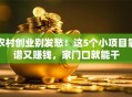 农村创业别发愁！这5个小项目靠谱又赚钱，家门口就能干