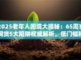 2025老年人困境大揭秘：65周岁网贷5大陷阱权威解析，低门槛秒批！