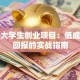 在校大学生创业项目：低成本高回报的实战指南