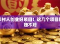 农村人创业好项目！这几个项目稳赚不赔