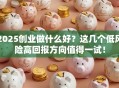 2025创业做什么好？这几个低风险高回报方向值得一试！