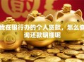 我在银行办的个人贷款，怎么查询还款明细呢