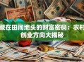 藏在田间地头的财富密码：农村创业方向大揭秘