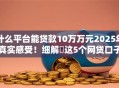 什么平台能贷款10万万元2025年真实感受！细解​这5个网贷口子能借钱十万