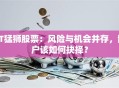 ST猛狮股票：风险与机会并存，散户该如何抉择？