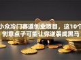 小众冷门赛道创业项目，这10个创意点子可能让你逆袭成黑马