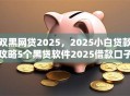 双黑网贷2025，2025小白贷款攻略5个黑贷软件2025借款口子